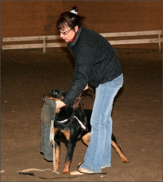 Training in Estonia 11/2007